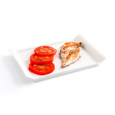 FUENTE 26 X 18 CM PLANCHA GASTRO FRESH QD FUENTE 26 X 18 CM PLANCHA GASTRO FRESH QD