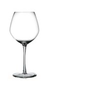 Cabernet jovenes