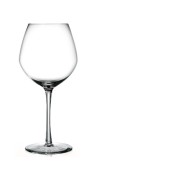 Cabernet jovenes